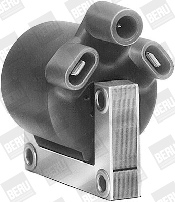 Picture of Ignition Coil - BorgWarner (BERU) - ZA503