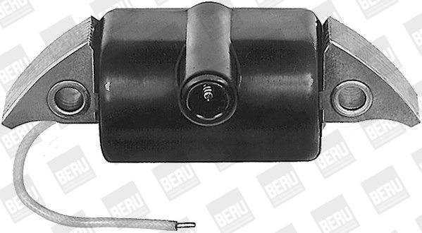 Picture of Ignition Coil - BorgWarner (BERU) - ZA504