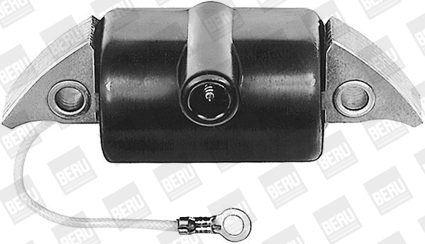 Picture of Ignition Coil - BorgWarner (BERU) - ZA507