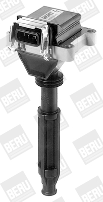 Picture of Ignition Coil - BorgWarner (BERU) - ZS012