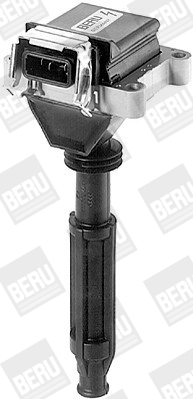 Picture of Ignition Coil - BorgWarner (BERU) - ZS012