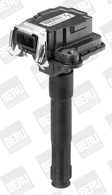 Picture of Ignition Coil - BorgWarner (BERU) - ZS016