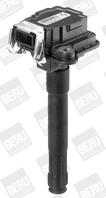 Picture of Ignition Coil - BorgWarner (BERU) - ZS017