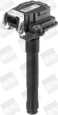 Picture of Ignition Coil - BorgWarner (BERU) - ZS017