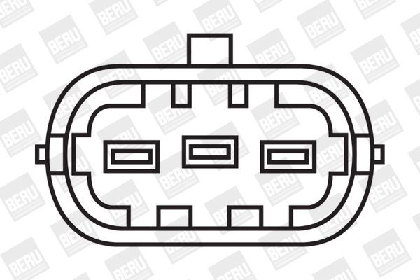 Picture of Ignition Coil - BorgWarner (BERU) - ZS031