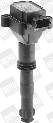 Picture of Ignition Coil - BorgWarner (BERU) - ZS031