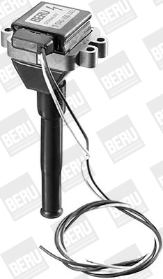 Picture of Ignition Coil - BorgWarner (BERU) - ZS043