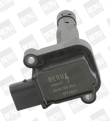 Picture of Ignition Coil - BorgWarner (BERU) - ZS053