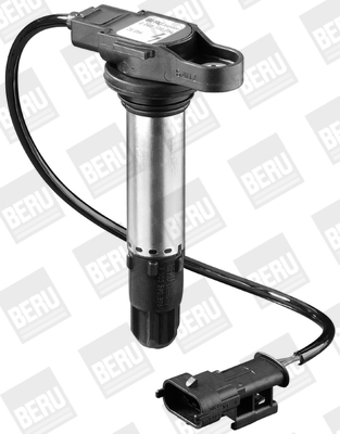 Picture of Ignition Coil - BorgWarner (BERU) - ZS054