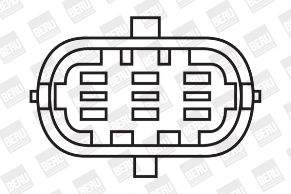 Picture of Ignition Coil - BorgWarner (BERU) - ZS054