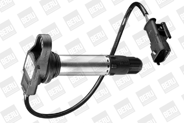 Picture of Ignition Coil - BorgWarner (BERU) - ZS054