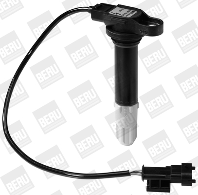 Picture of Ignition Coil - BorgWarner (BERU) - ZS085