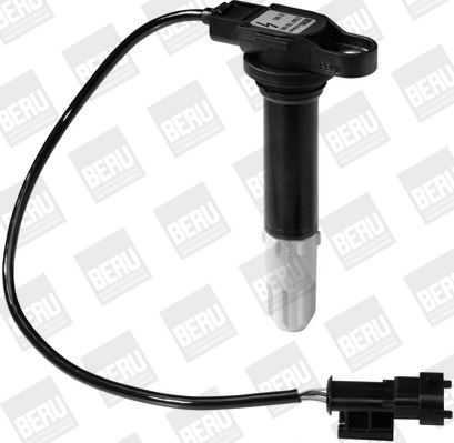 Picture of Ignition Coil - BorgWarner (BERU) - ZS085