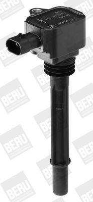 Picture of Ignition Coil - BorgWarner (BERU) - ZS090