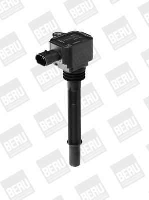 Picture of Ignition Coil - BorgWarner (BERU) - ZS090