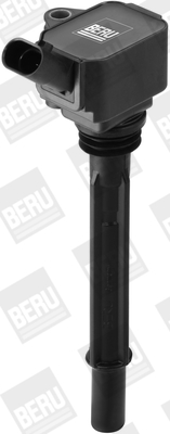 Picture of Ignition Coil - BorgWarner (BERU) - ZS096