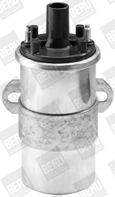 Picture of Ignition Coil - BorgWarner (BERU) - ZS117