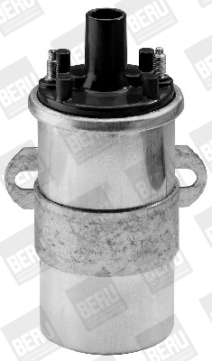 Picture of Ignition Coil - BorgWarner (BERU) - ZS117