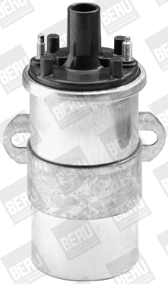 Picture of Ignition Coil - BorgWarner (BERU) - ZS118