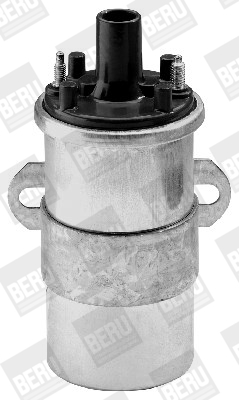 Picture of Ignition Coil - BorgWarner (BERU) - ZS118