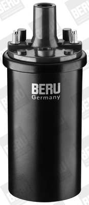 Picture of Ignition Coil - BorgWarner (BERU) - ZS119