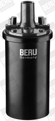 Picture of Ignition Coil - BorgWarner (BERU) - ZS119