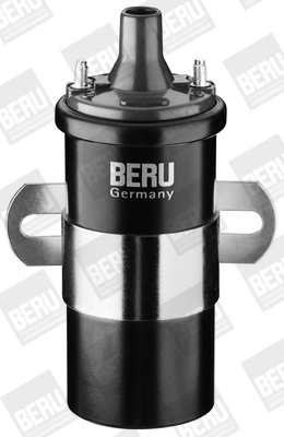 Picture of Ignition Coil - BorgWarner (BERU) - ZS120