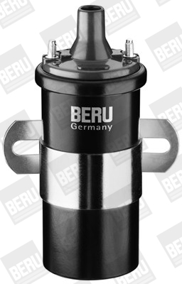 Picture of Ignition Coil - BorgWarner (BERU) - ZS120
