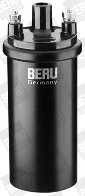 Picture of Ignition Coil - BorgWarner (BERU) - ZS121