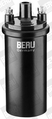 Picture of Ignition Coil - BorgWarner (BERU) - ZS121