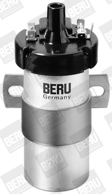 Picture of Ignition Coil - BorgWarner (BERU) - ZS123