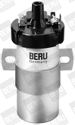 Picture of Ignition Coil - BorgWarner (BERU) - ZS124