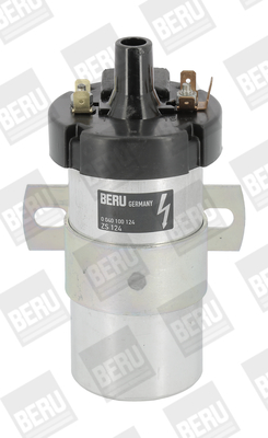 Picture of Ignition Coil - BorgWarner (BERU) - ZS124