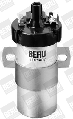 Picture of Ignition Coil - BorgWarner (BERU) - ZS124