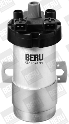 Picture of Ignition Coil - BorgWarner (BERU) - ZS125