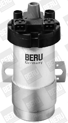 Picture of Ignition Coil - BorgWarner (BERU) - ZS125