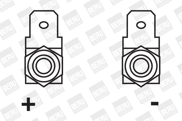 Picture of Ignition Coil - BorgWarner (BERU) - ZS210