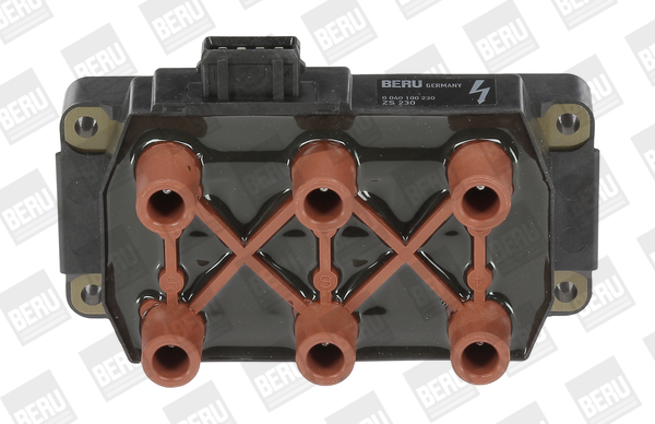 Picture of Ignition Coil - BorgWarner (BERU) - ZS230