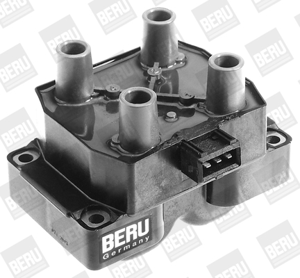 Picture of Ignition Coil - BorgWarner (BERU) - ZS233