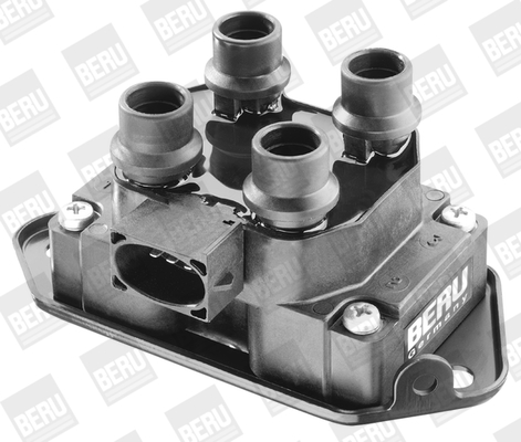 Picture of Ignition Coil - BorgWarner (BERU) - ZS238