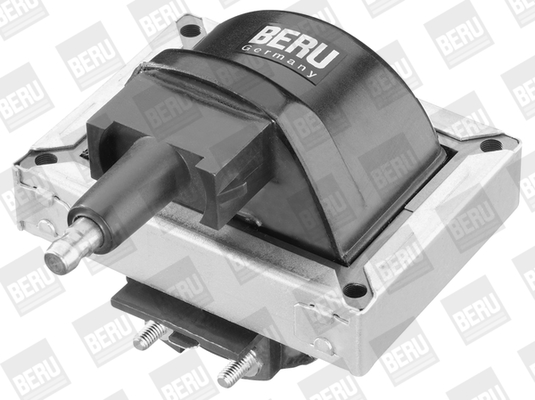 Picture of Ignition Coil - BorgWarner (BERU) - ZS251