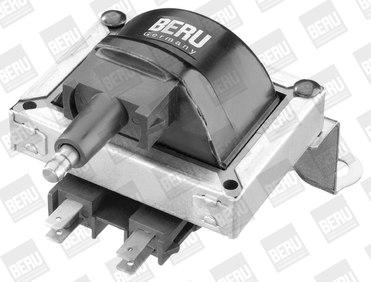 Picture of Ignition Coil - BorgWarner (BERU) - ZS252