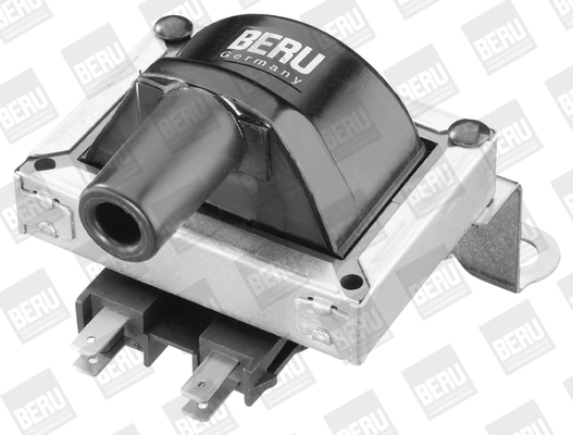 Picture of Ignition Coil - BorgWarner (BERU) - ZS253