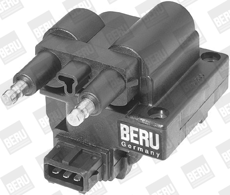Picture of Ignition Coil - BorgWarner (BERU) - ZS254