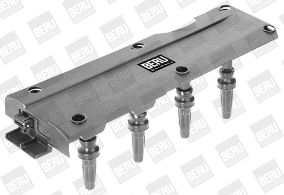 Picture of Ignition Coil - BorgWarner (BERU) - ZS256