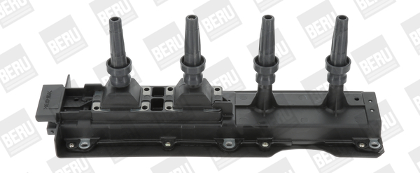 Picture of Ignition Coil - BorgWarner (BERU) - ZS256
