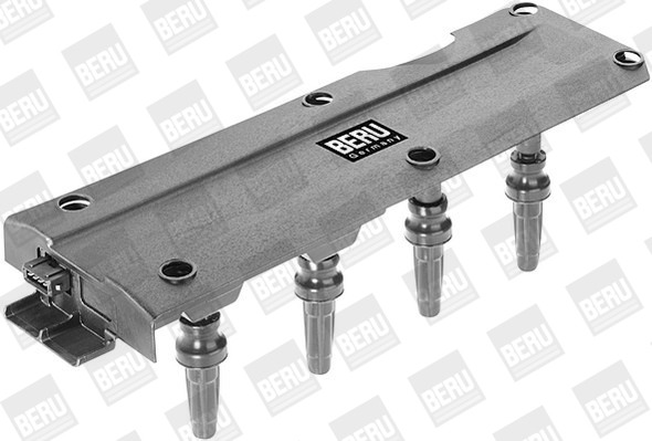 Picture of Ignition Coil - BorgWarner (BERU) - ZS256