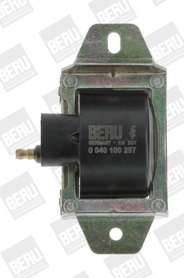 Picture of Ignition Coil - BorgWarner (BERU) - ZS257