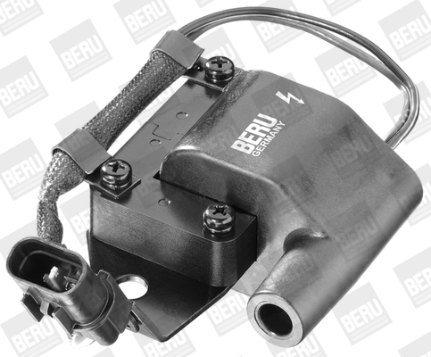 Picture of Ignition Coil - BorgWarner (BERU) - ZS261