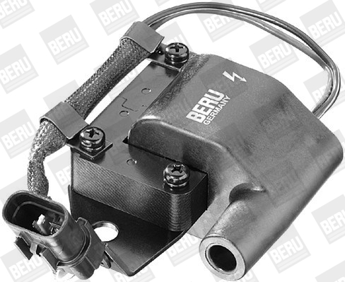 Picture of Ignition Coil - BorgWarner (BERU) - ZS261
